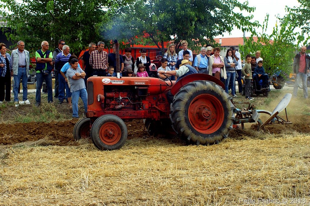 Caraglio-CN-21-settembre-2013-81.jpg