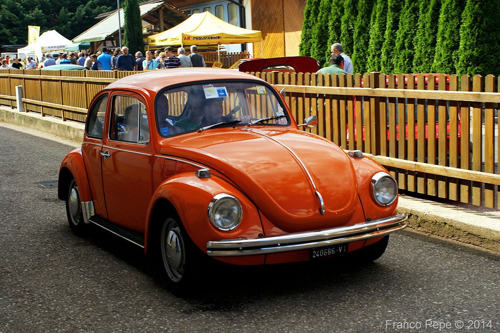 VW-Maggiolone-Senale-BZ-2-agosto-2014-1.jpg