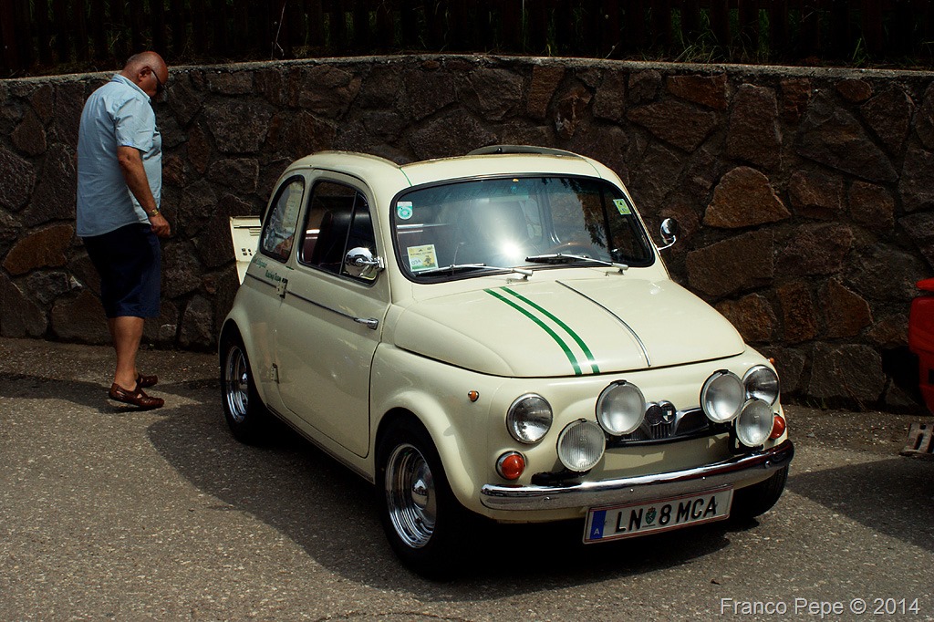 Steyr-Puch-650-Senale-BZ-2-agosto-2014-1.jpg