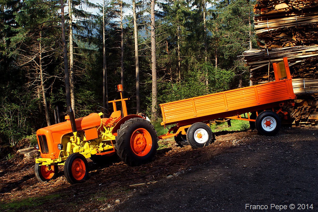 Trattore-FIAT-Senale-BZ-2-agosto-2014.jpg